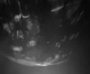 Projektor Moony