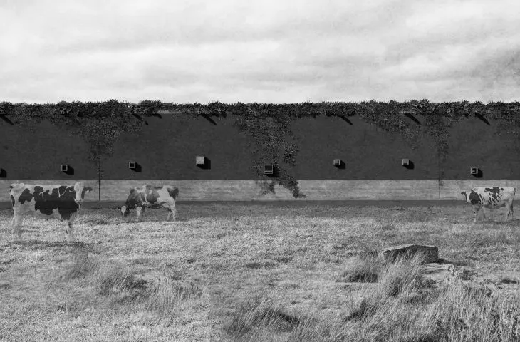 visualization of the wall from the street side