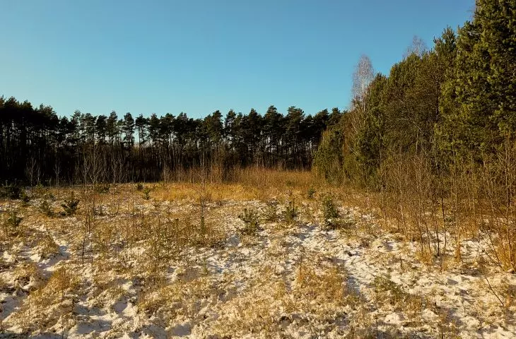 site visit