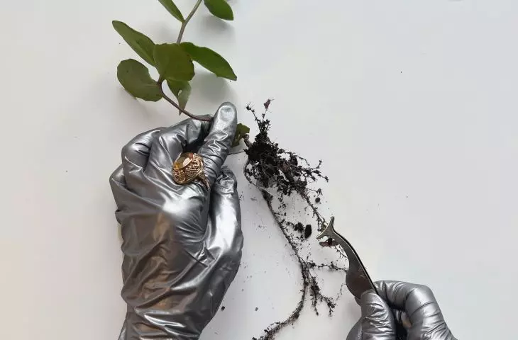Foil&Soil