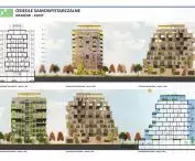 sections, elevations