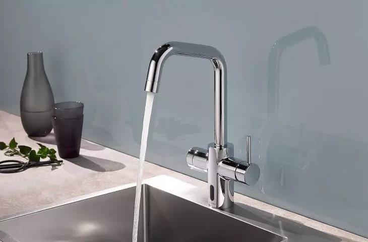 SCHELL GRANDIS E kitchen faucet