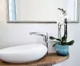 SCHELL XERIS E washbasin tap