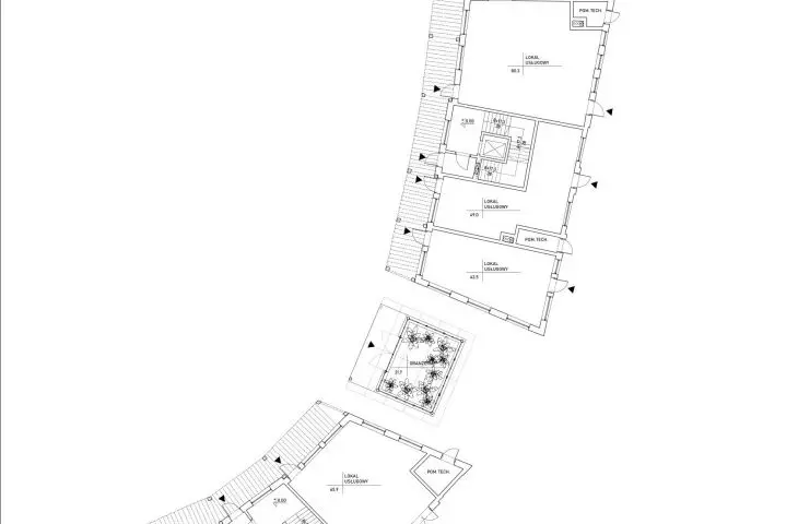 rzut parteru