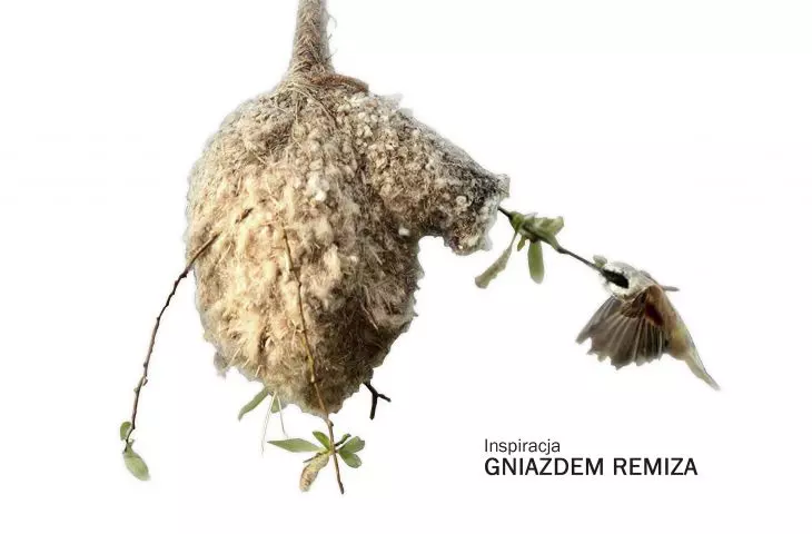 Projekt stacji naukowej REMIZ_A