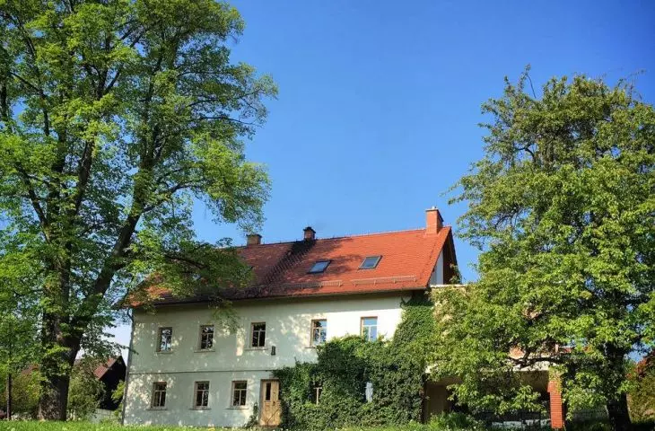 Pokrzywnik 11