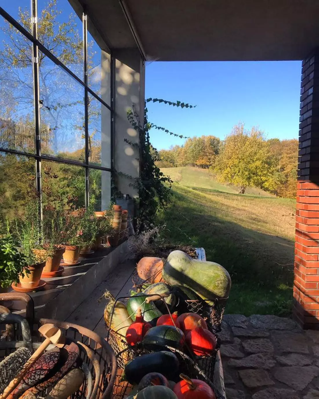 Pokrzywnik 11