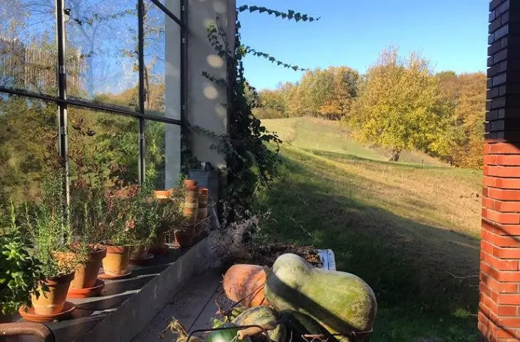 Pokrzywnik 11