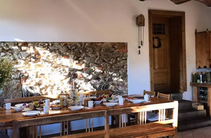 Pokrzywnik 11