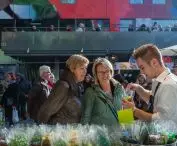 Hala Targowa (Markthal) w Rotterdamie