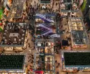 Hala Targowa (Markthal) w Rotterdamie