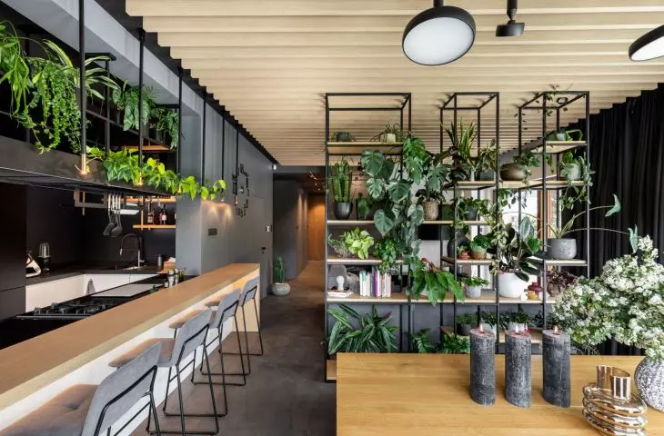 Biophilic design brings us closer to nature