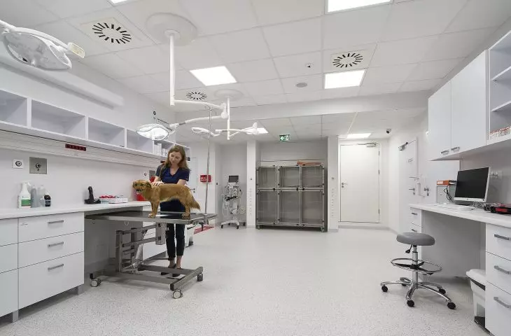 Klinika weterynaryjna, Veterio, Warszawa