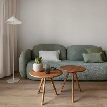 The centerpiece of the lounge area is a green sofa