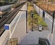 rail transport