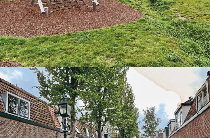 greenery in the city