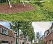 greenery in the city