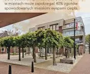 How to prevent urban heat islands?