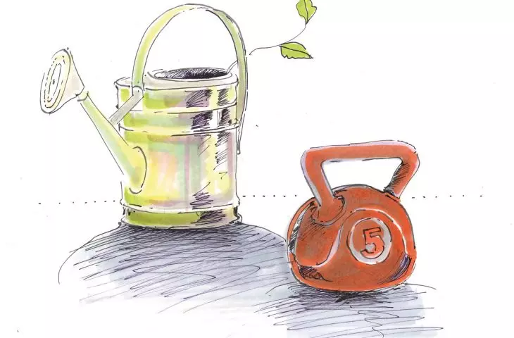 dumbbells