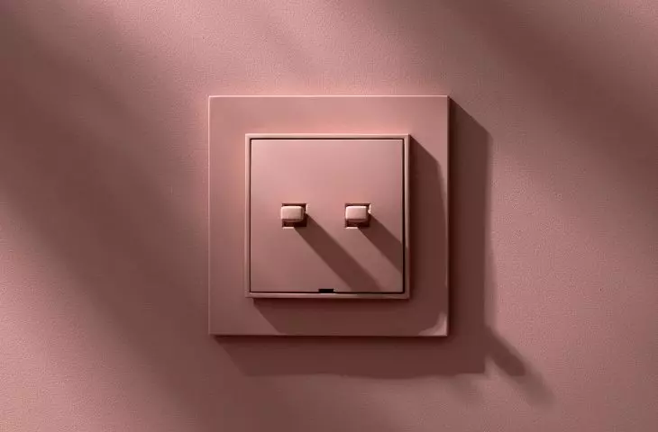 MINI, salmon