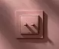 MINI, salmon