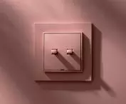 MINI, salmon