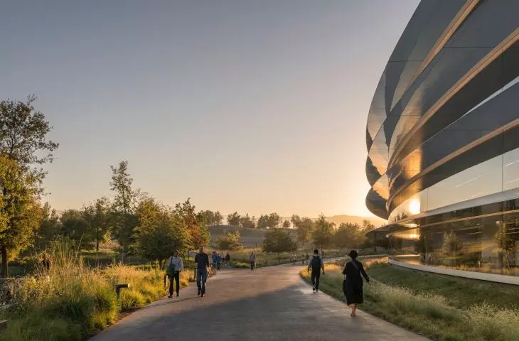 Apple Park w Cupertino w Kalifornii – charakterystycznym elementem architektonicznym są szklane ściany od podłogi do sufitu