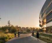 Apple Park w Cupertino w Kalifornii – charakterystycznym elementem architektonicznym są szklane ściany od podłogi do sufitu