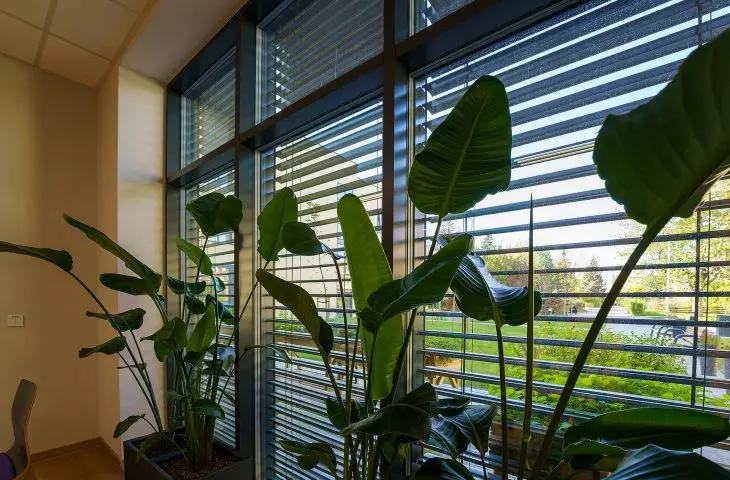 Żaluzje Z90BOX2