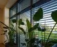 Z90BOX2 blinds