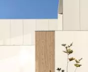 Braided House in Warsaw