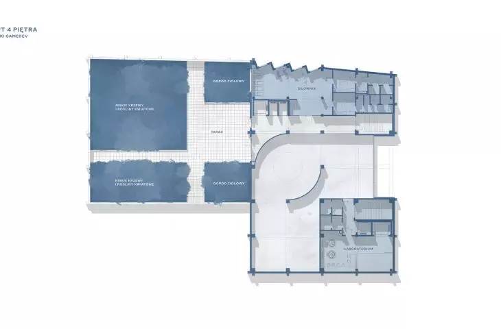 level 4 projection