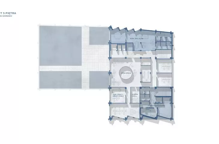 level 5 projection