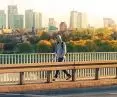 Greenery in the city is one of the most effective ways to improve the quality of space