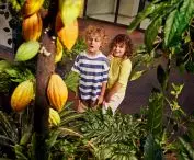 The exhibition tells the story of everything that happens to chocolate: from cocoa beans to packaging