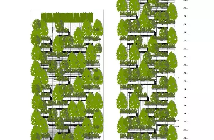 Bosco Verticale (z włoskiego 'Pionowy las' lub 'Wertykalny las') w Mediolanie – rysunek zachodniej elewacji 