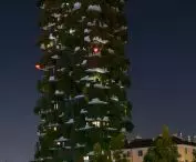 Bosco Verticale (z włoskiego 'Pionowy las' lub 'Wertykalny las') w Mediolanie