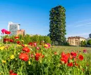 Bosco Verticale (z włoskiego 'Pionowy las' lub 'Wertykalny las') w Mediolanie
