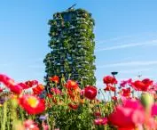 Bosco Verticale (z włoskiego 'Pionowy las' lub 'Wertykalny las') w Mediolanie