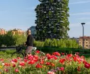 Bosco Verticale (Italian for 'Vertical Forest' or 'Vertical Forest') in Milan