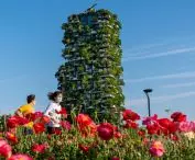 Bosco Verticale (z włoskiego 'Pionowy las' lub 'Wertykalny las') w Mediolanie