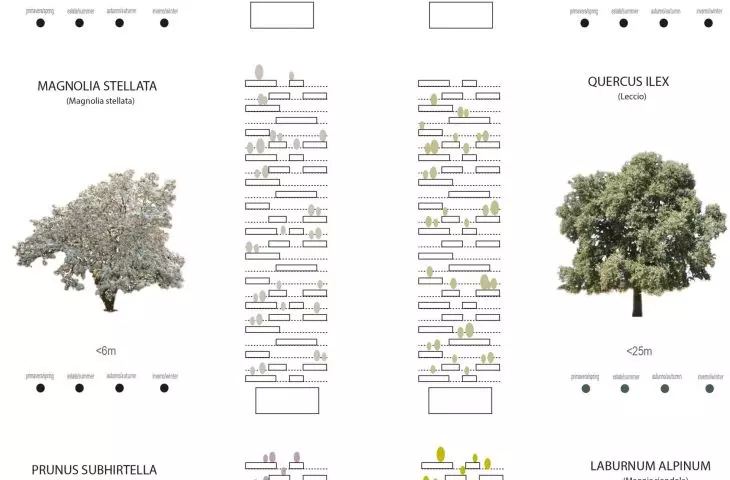 Bosco Verticale (z włoskiego 'Pionowy las' lub 'Wertykalny las') w Mediolanie – rodzaje roślin występujących w wieżowcach 