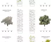 Bosco Verticale (z włoskiego 'Pionowy las' lub 'Wertykalny las') w Mediolanie – rodzaje roślin występujących w wieżowcach 