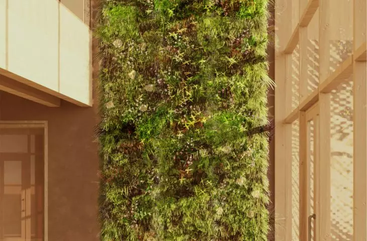 visualization of the green wall