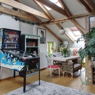 There was even room in the living room for a colorful flipper