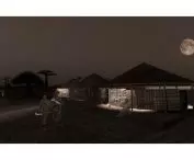 visualization