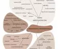 components of health-promoting architecture