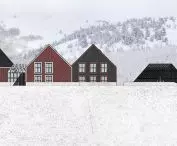 elewacje