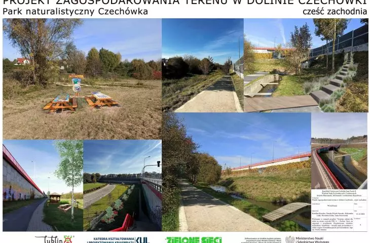 Czechówka zachodnia