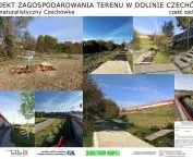 Czechówka zachodnia